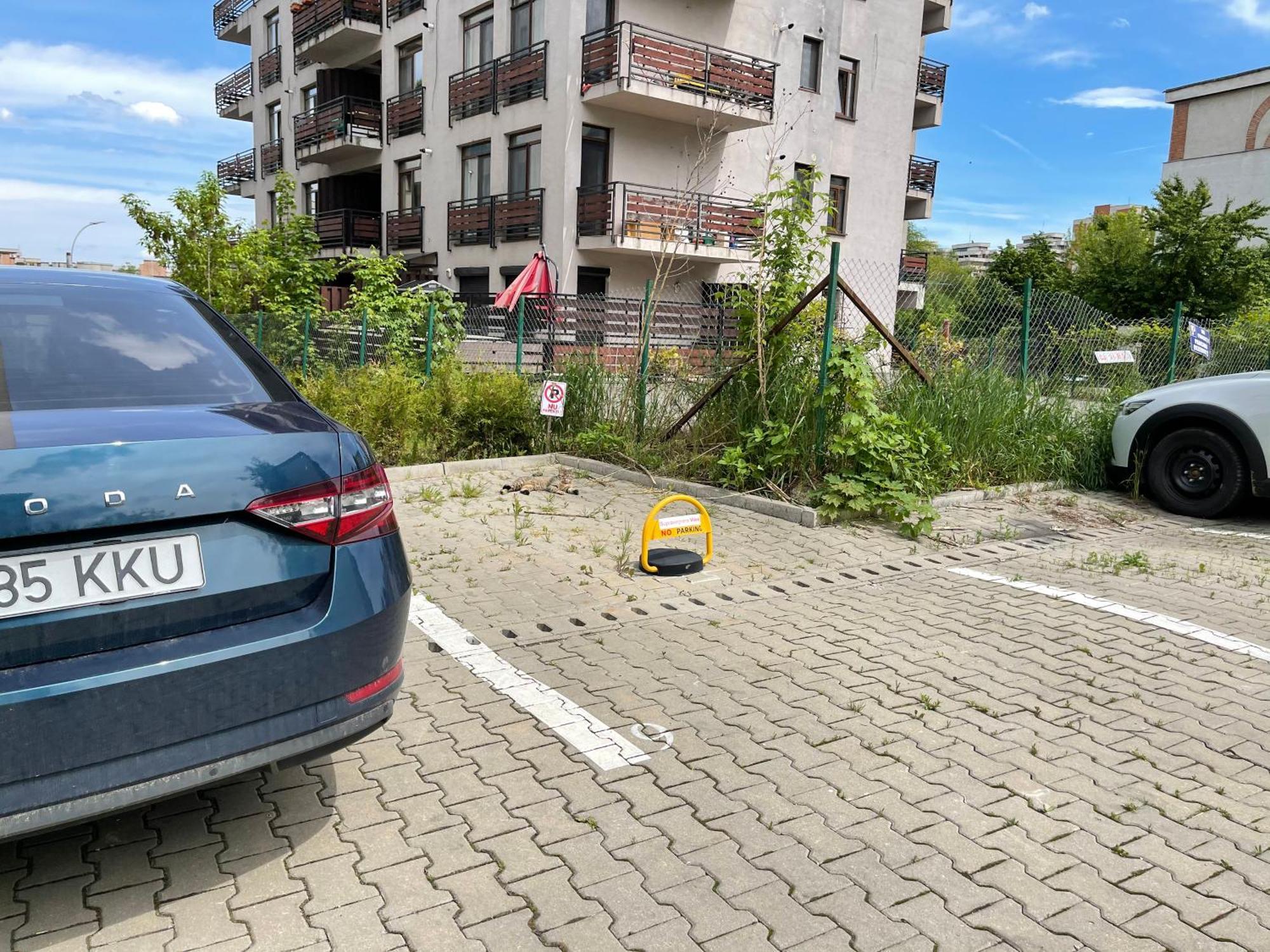 Relax Cluj Apartment And Terrace Exterior foto